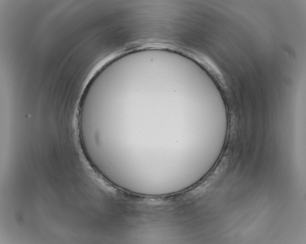 X0000111871190200907231145