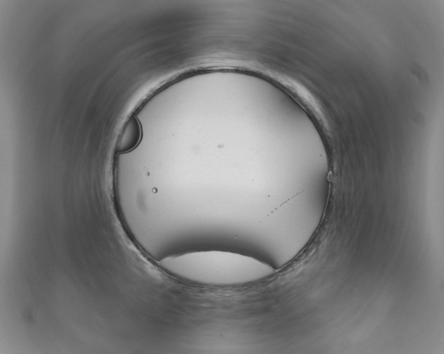 X0000111871191200907231145