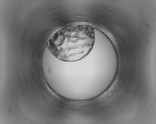 X0000111871193200907231145
