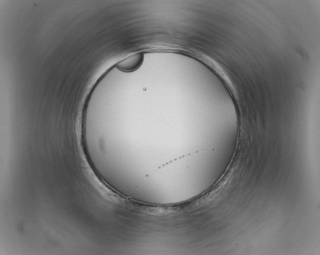 X0000111871195200907231145