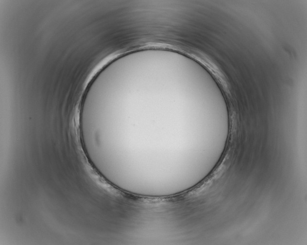 X0000111871198200907231145