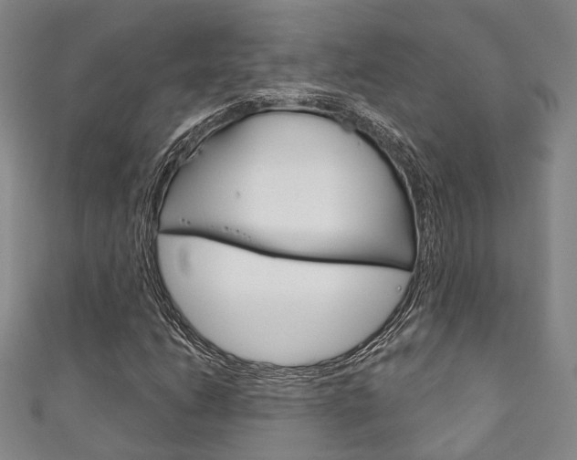 X0000111871206200907231144