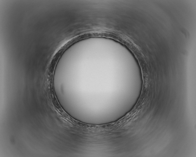 X0000111871208200907231144