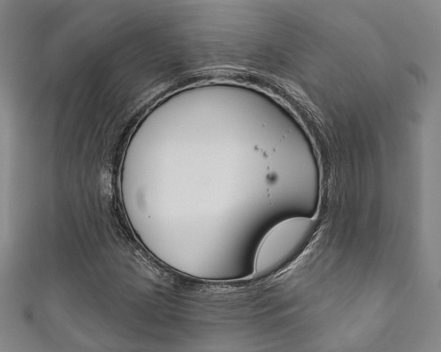 X0000111871209200907231144
