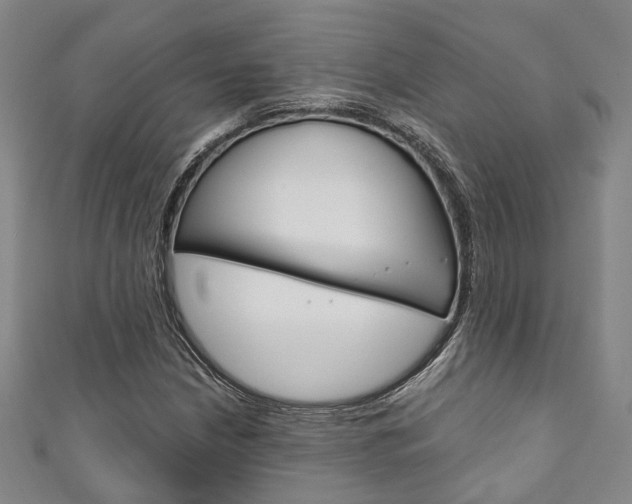 X0000111871210200907231144