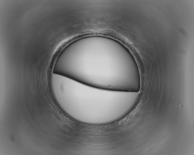 X0000111871214200907231144