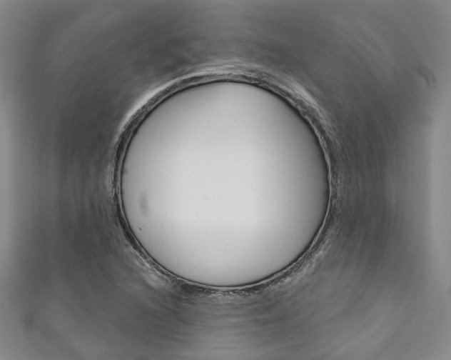 X0000111871216200907231144