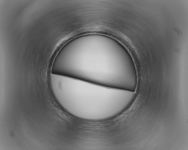 X0000111871218200907231144