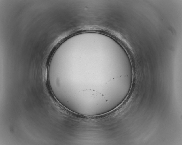 X0000111871221200907231144