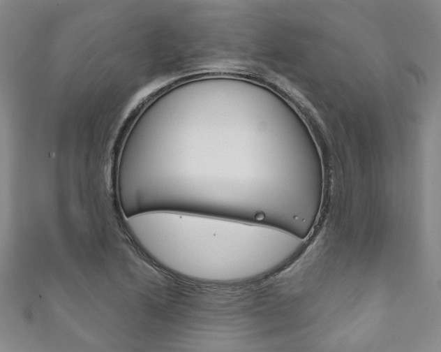 X0000111871222200907231144