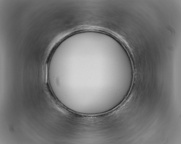X0000111871223200907231144