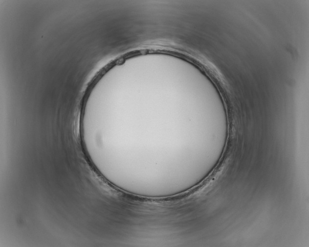 X0000111871224200907231144