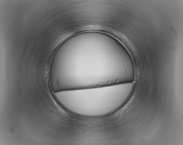 X0000111871225200907231144