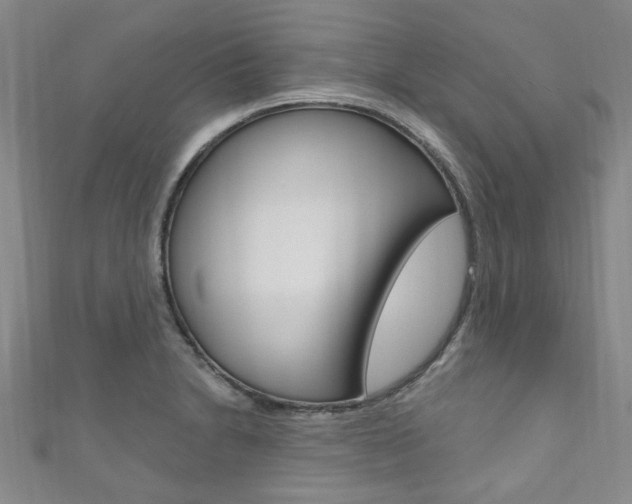X0000111871230200907231144