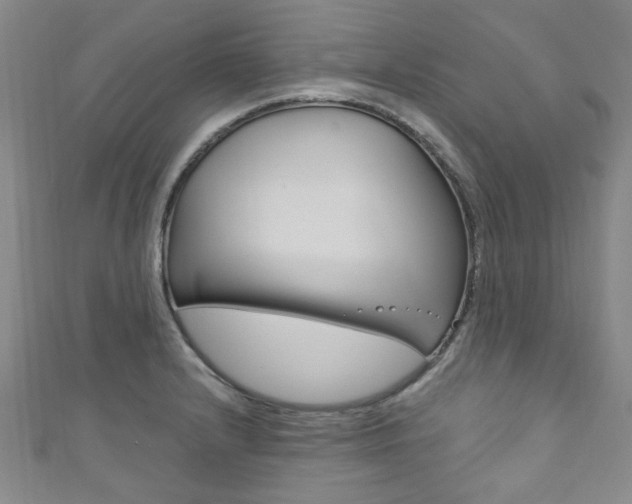 X0000111871232200907231144