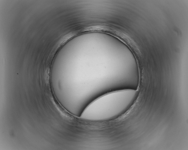 X0000111871233200907231144