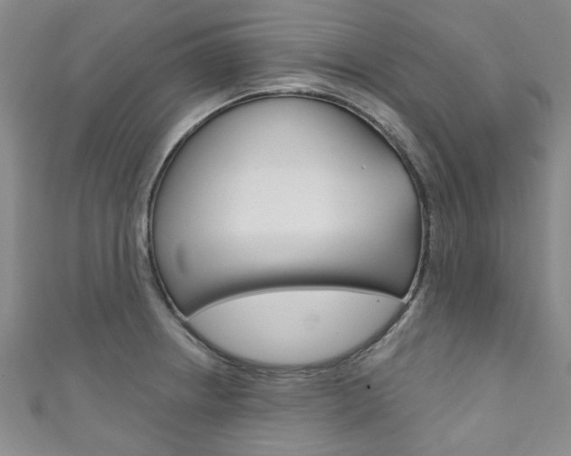 X0000111871234200907231144