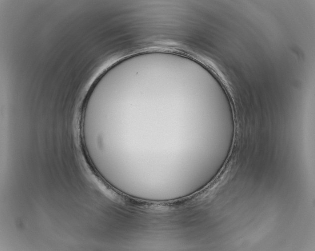 X0000111871235200907231144