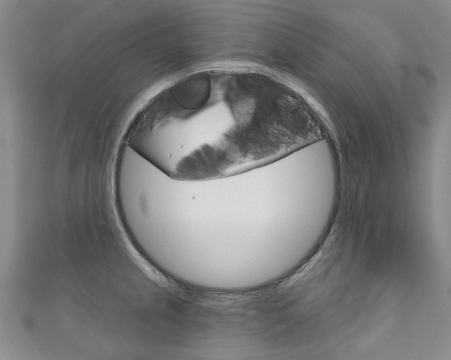 X0000111871237200907231145