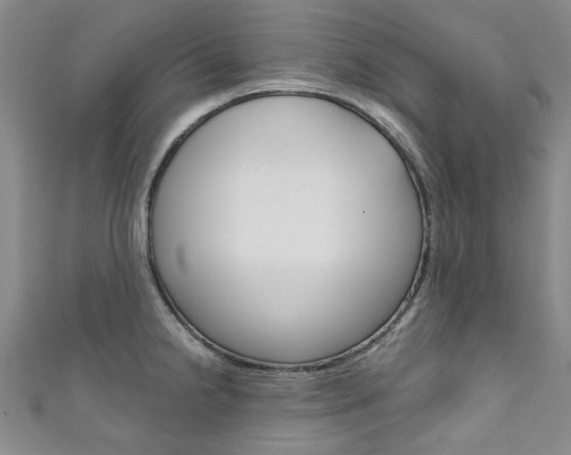 X0000111871238200907231145