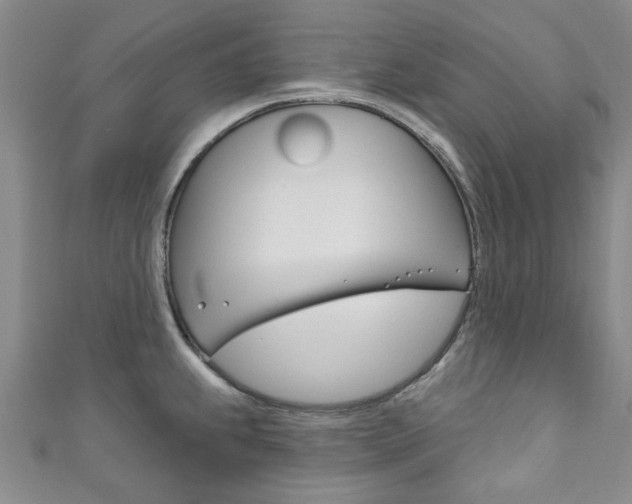X0000111871239200907231145