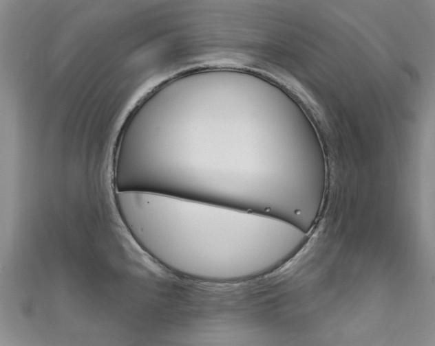 X0000111871240200907231145