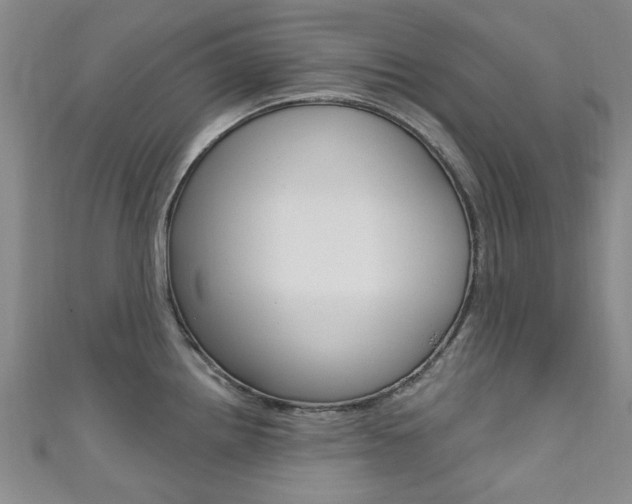 X0000111871242200907231145