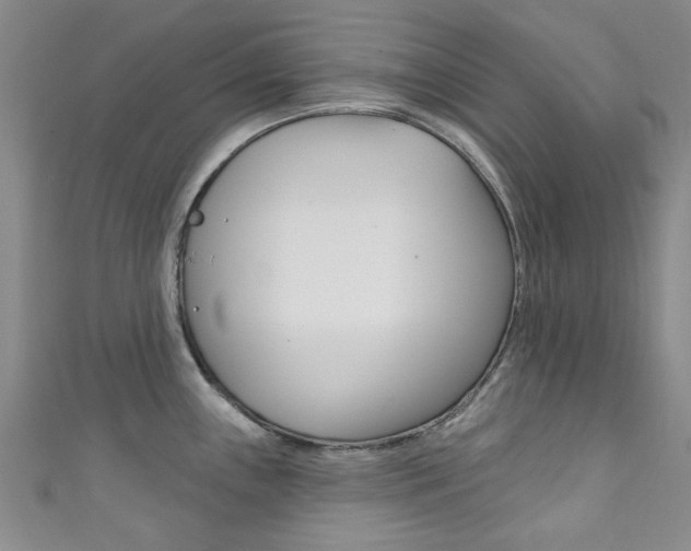 X0000111871243200907231145