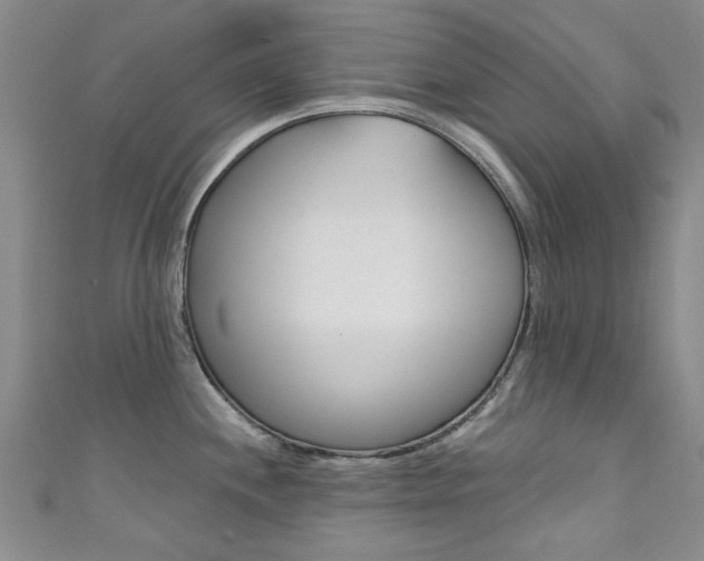 X0000111871244200907231145