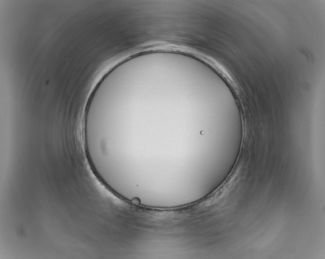 X0000111871247200907231145