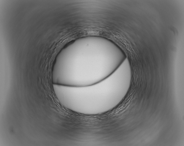 X0000111871249200907231144
