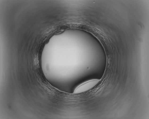 X0000111871252200907231144