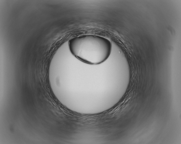 X0000111871253200907231144