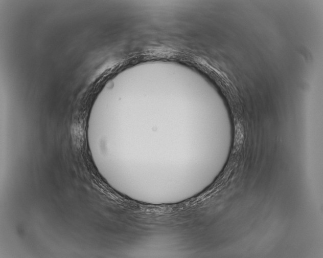 X0000111871254200907231144