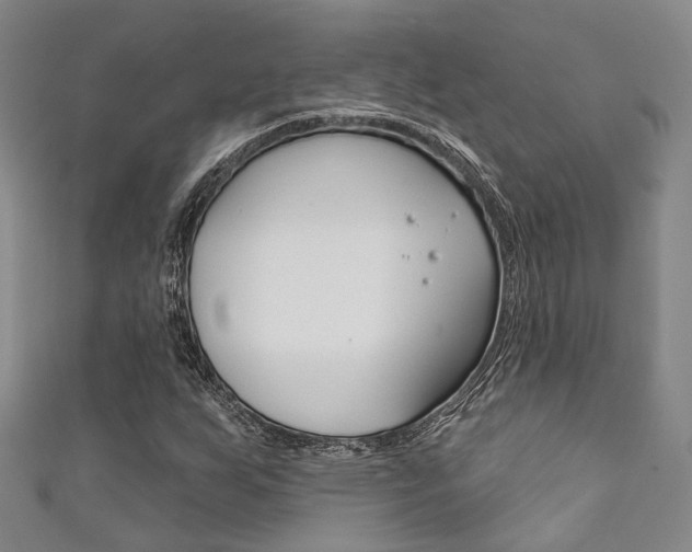X0000111871255200907231144