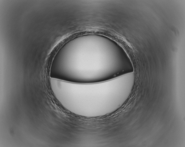X0000111871256200907231144