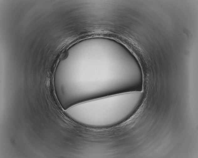 X0000111871257200907231144