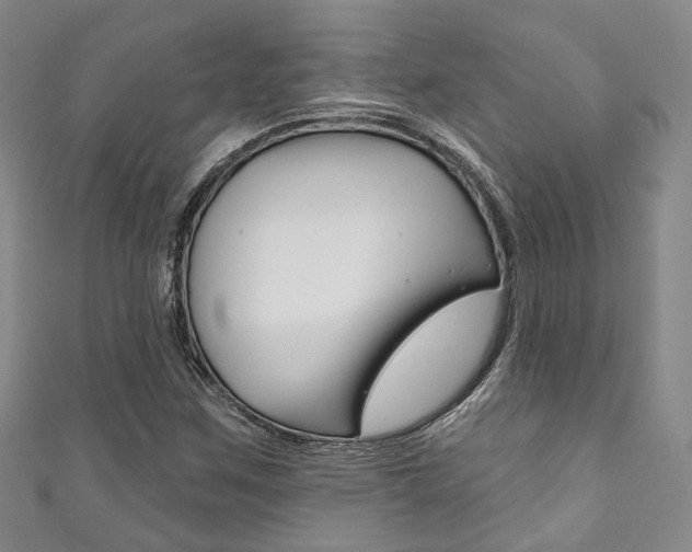 X0000111871259200907231144