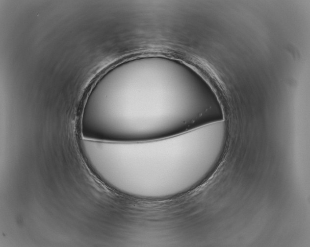X0000111871260200907231144