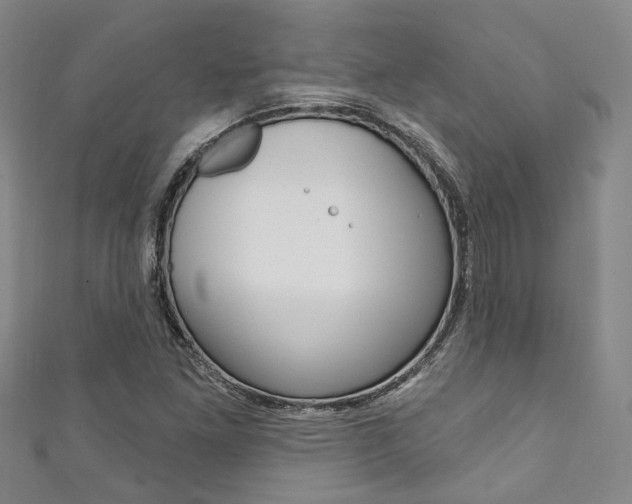 X0000111871261200907231144