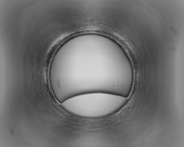 X0000111871262200907231144