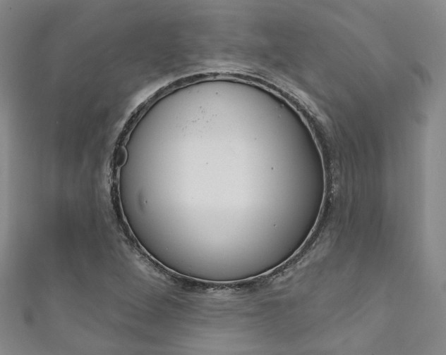 X0000111871264200907231144