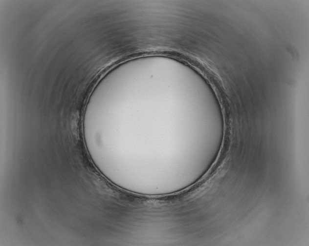 X0000111871265200907231144
