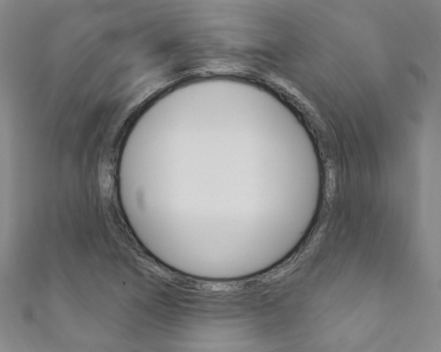 X0000111871266200907231144