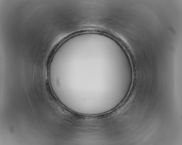 X0000111871267200907231144