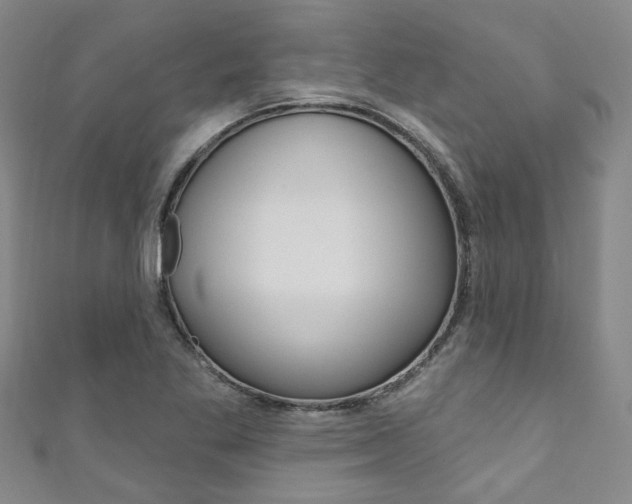 X0000111871269200907231144