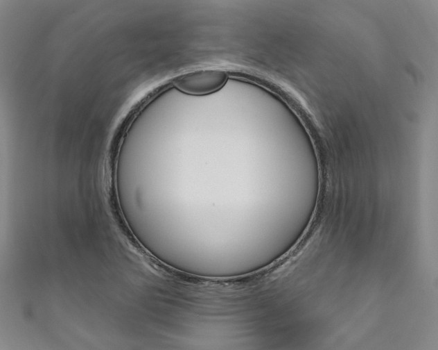 X0000111871270200907231144