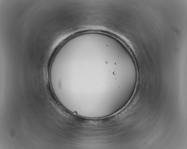 X0000111871271200907231144