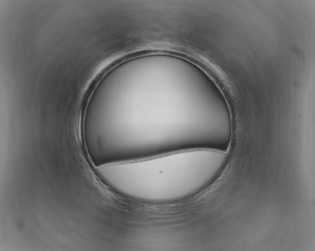 X0000111871272200907231144