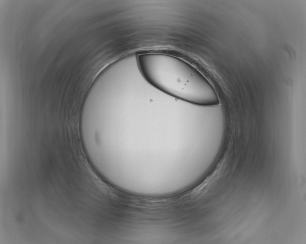 X0000111871273200907231144